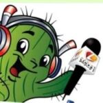 Rádio Professor Falcão FM